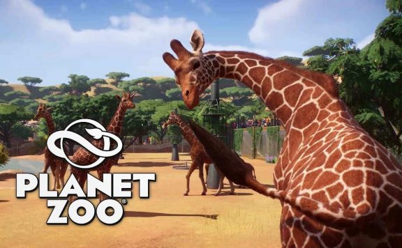 Planet Zoo Analsis